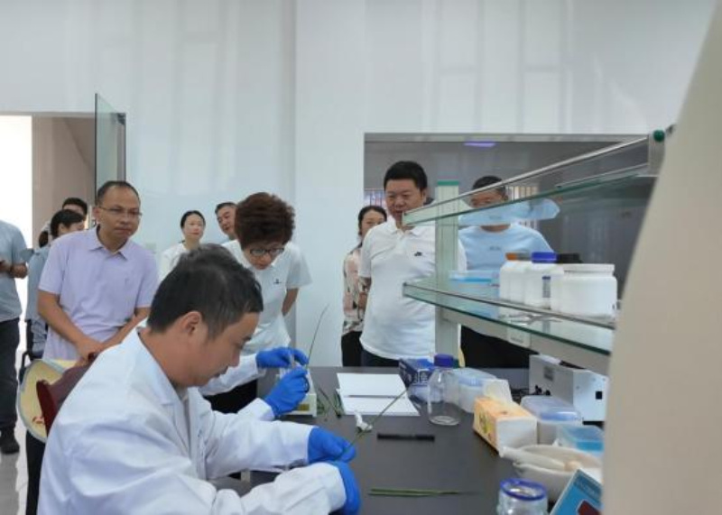 图片6_副本.jpg 图片6_副本.jpg