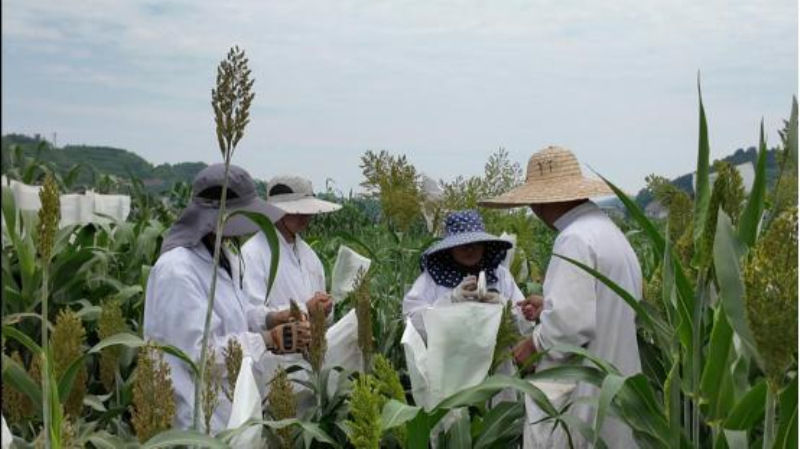 图片8_副本.jpg 图片8_副本.jpg