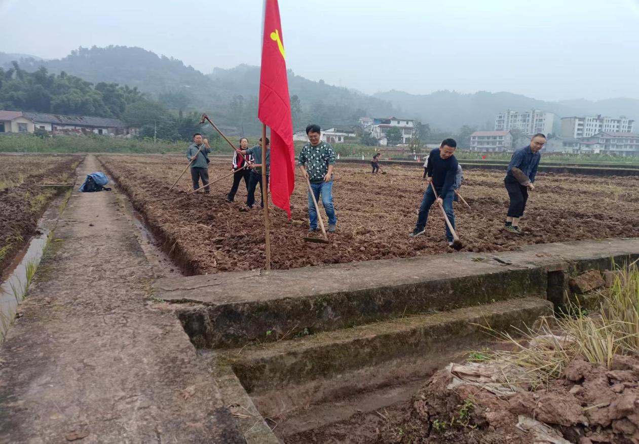 图片1.jpg 图片1.jpg